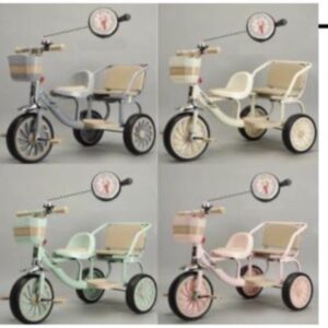 Vélo tricycle avec Asisse arrière